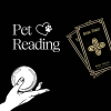 Pet tarot reading card spread